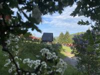 IMG-1933 (1024x768).jpg